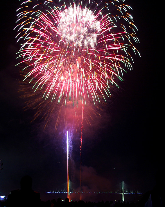 img181_fireworks1.jpg
